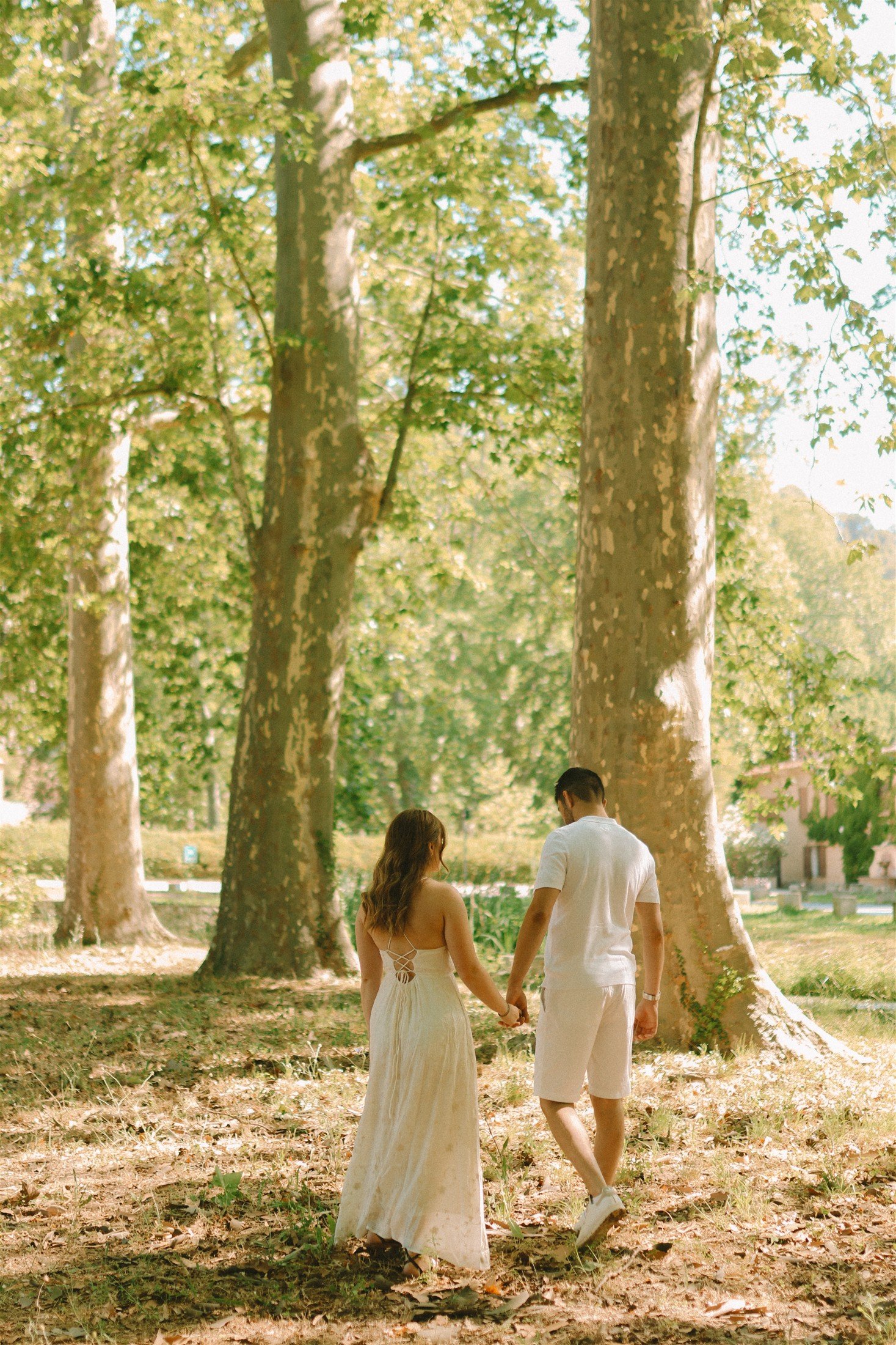 Couple marchant main dans la main sous les arbres